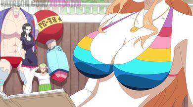 Romantic Love Affair - Nami & Mugiwaras