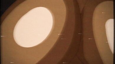 Lights On in the Love Shack