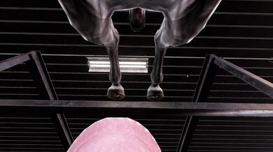 Virtual Reality Bone-A-Thon with Big Daddy in 'Stallion 1.10'