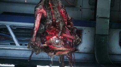 Bone-crushing swallowing orgy