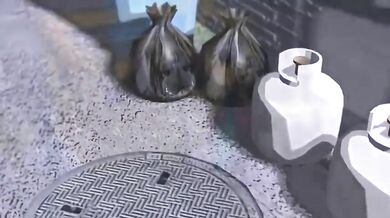 Back Alley Blowjobs and Breakfast Buns: A Family Restaurant Waitress' Forbidden Fetish