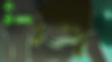 Gerudo's Legacy: Futa Zelda's Transformation through Threesomes and Romantic NTR