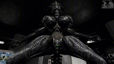 Xenophilic Orgasmic Reign: The Niki3D Experience