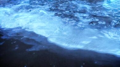 Tsunami Rising - The Obsessed Beach Patrol (Ultra HD@60) [Lanzfh (10/2024)]