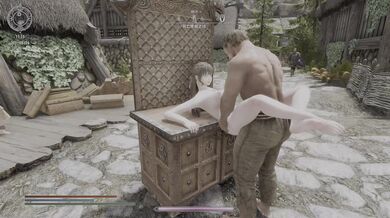 F*cking on the Table: A Skyrim-Inspired Pornographic Adventure
