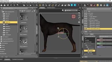 Insert the Cockorama K9 Cock into Daz Dog 8: A Step-by-Step Guide