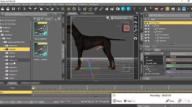 Insert the Cockorama K9 Cock into Daz Dog 8: A Step-by-Step Guide
