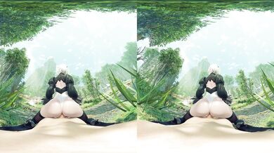 2b vr
