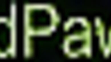 Yiff Heroes 2: The Guesstimation Continues