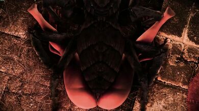 Infiltration of the Storage Facility: The Rise of Skitters