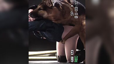 Horny Helen's Hot and Heavy Hardcore Hijinks