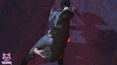 Canine Filling