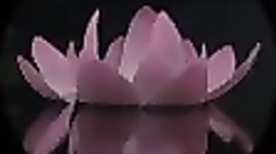 Fucking Sonnet of Ecstasy: A Cum-Filled Compilation
