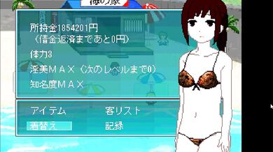 Pixels on the Beach: A Hentai Adventure