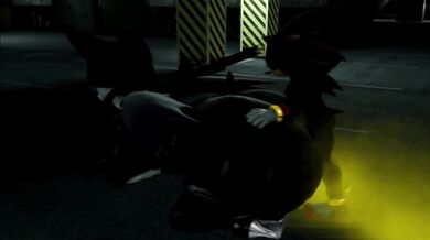 Smelly Ninja Shadow Master's Revenge