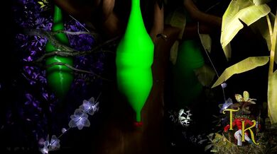 King of Toasters - Valentine's Day Love Affair