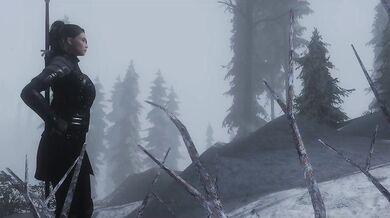 Last Desires (Part 1)