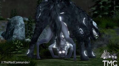 - Sheep and Predator Get Fit with Some Frisky Playtime