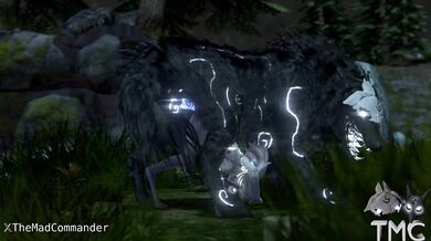 - Sheep and Predator Get Fit with Some Frisky Playtime