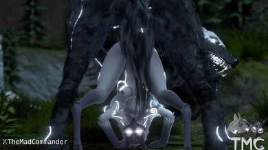 - Sheep and Predator Get Fit with Some Frisky Playtime