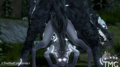 - Sheep and Predator Get Fit with Some Frisky Playtime
