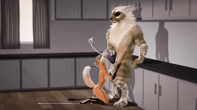 Horny Boy Gone Wild on HMV