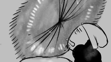 Beware the Lurking Curse: The Zebra Black Ball