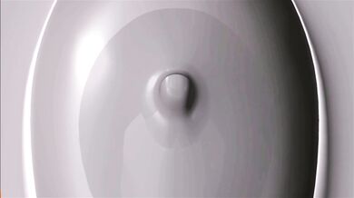 The Gigantic Titaness's Fate