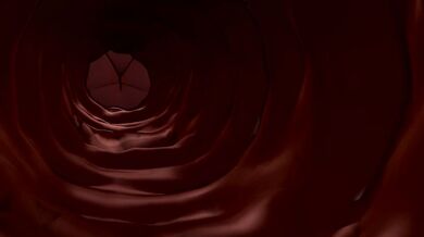 Hungry Ass Vampire ToasterKing - A Steamy Hentai Porn Video