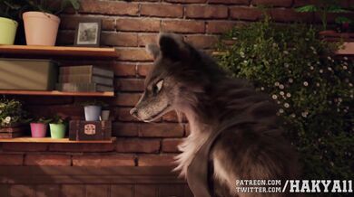 Wolf and Bunny Hentai Video in Spanish