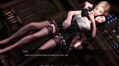 Miri's Depravity Exposition vol 6