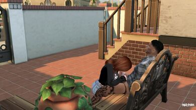 On the Porch: A Randy Neighborhood Romp
