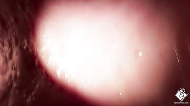 Being swallowed whole by a giant horse while being voraciously eaten out from behind, in first person perspective.