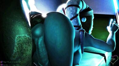 'Aayla Secura's Standard Jedi Training'