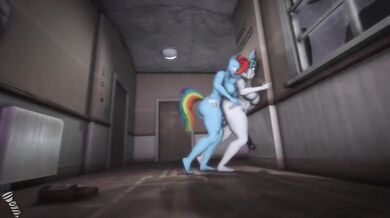 Majestic Ponies Masturbating to Music Videos