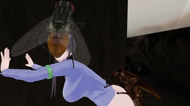 (Insect) Serendipitous Encounter (Ultra HD)