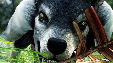 The Orc and the Futa Werewolf: An Erotic Tale of Bestiality and Interspecies Romance