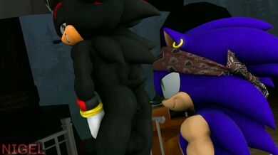 Bootylicious Sonadow Adventures on the High Seas