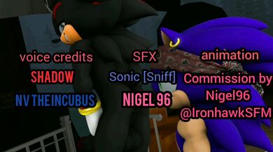 Bootylicious Sonadow Adventures on the High Seas