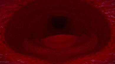 Gigantic Horny Spider Gals 2: Neglected and Illusional