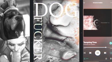 Freshly Baked New Releases for Your Viewing Pleasure on June 24th, 2024