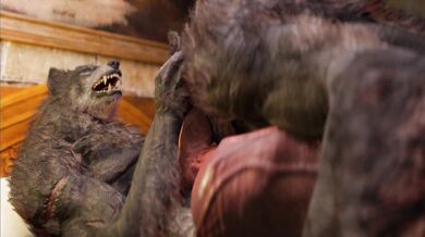 A Wild Night with the Wolves: Dad and Son Get It On!