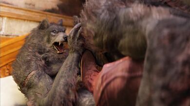 A Wild Night with the Wolves: Dad and Son Get It On!