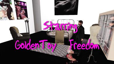 - Confined Slut's Toy Playroom