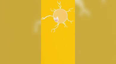 The Horny Harem of KemKem: A Diamond-studded Leg-spreader