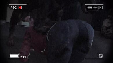 Gaping Claire Gets Fisted in Public by Unknown Men in Rough Found Footage