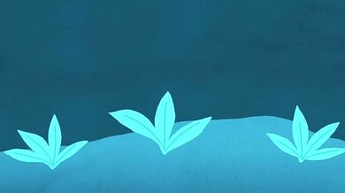 Lisa Hanawalt's Late Night Lusts