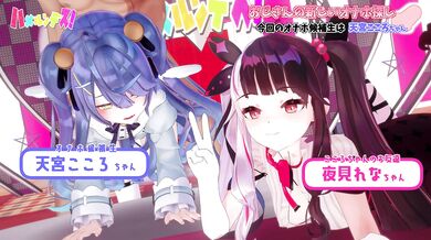 'Hentai Porn Video Audition'