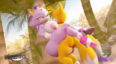 Blaze & Tails get Wet 'n' Wild in the Desert Oasis