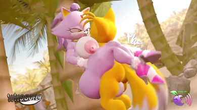 Blaze & Tails get Wet 'n' Wild in the Desert Oasis